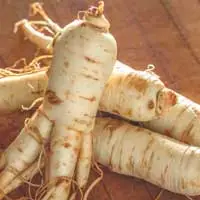 Ginseng root research on carbohydrate metabolism used in Sugar Defender